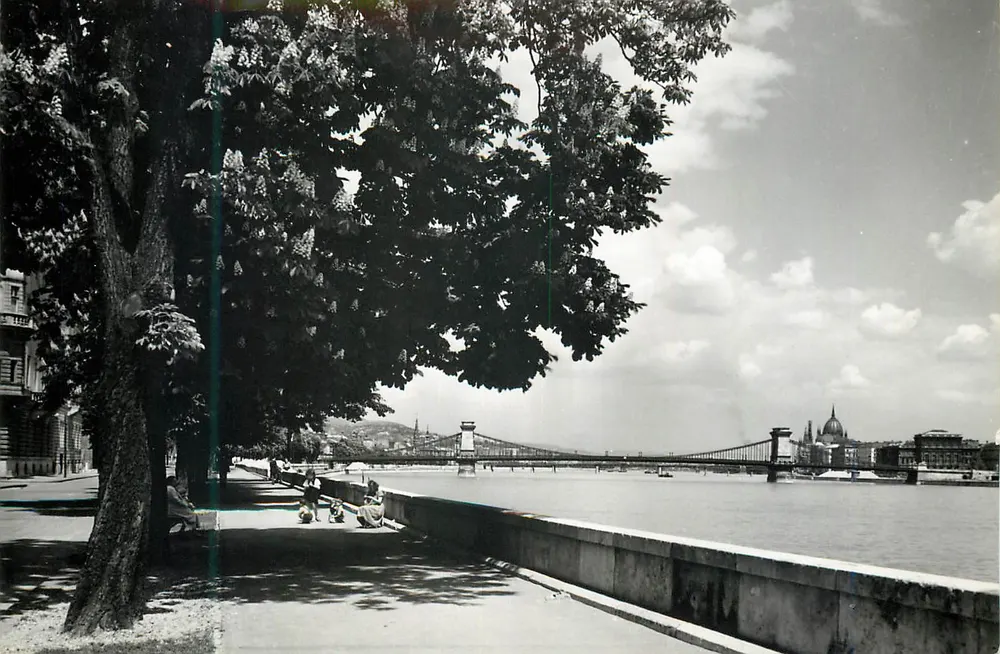 Budapeszt — widok brzegu Dunaju — Wydawca Képzőművészeti Alap, n° EF 1063/593 - Awers