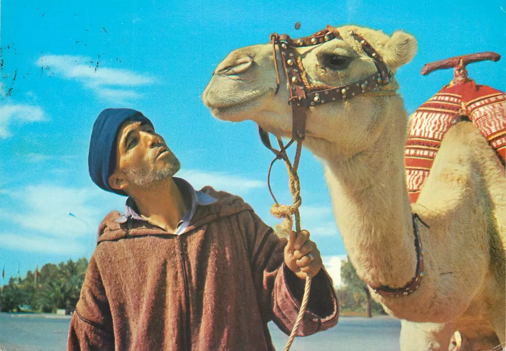 Homem e o camelo — Marrocos típico — FOTO ANTONIO, Tânger - Frente
