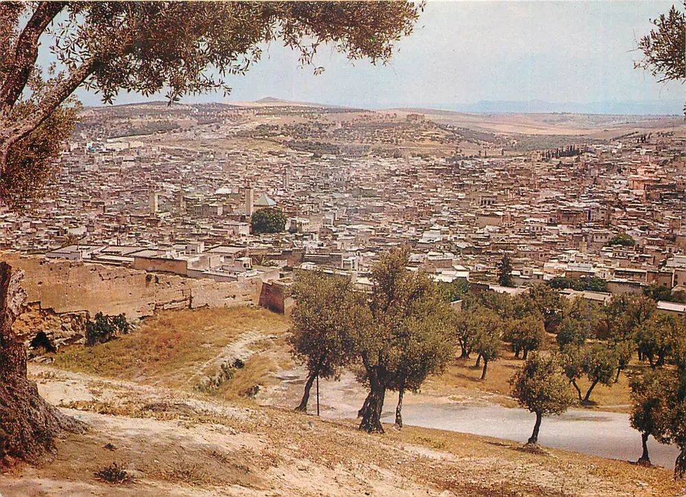 Fès — Vista geral — Foto Barbieri, n°1025 - Frente