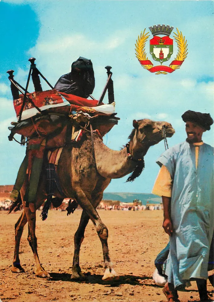 Camello e pastore — Marocco — editore JEFF, n° 5023 B - Recto