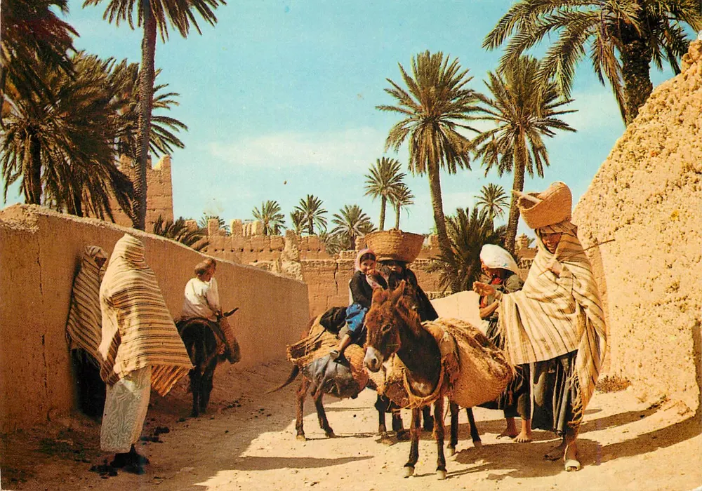 मोरक्को के दृश्य और प्रकार — मराकेश में जीवंत बाजार — प्रकाशक कैसाबलंका, संख्या 5408 B - आगे