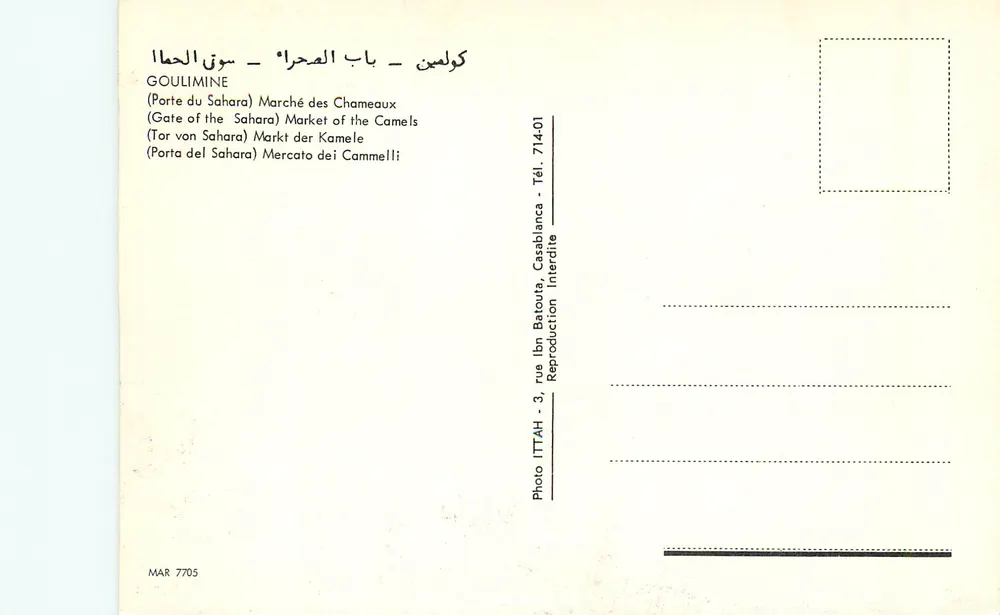 Goulimine — Tor zur Sahara — Kamelmarkt - Rückseite