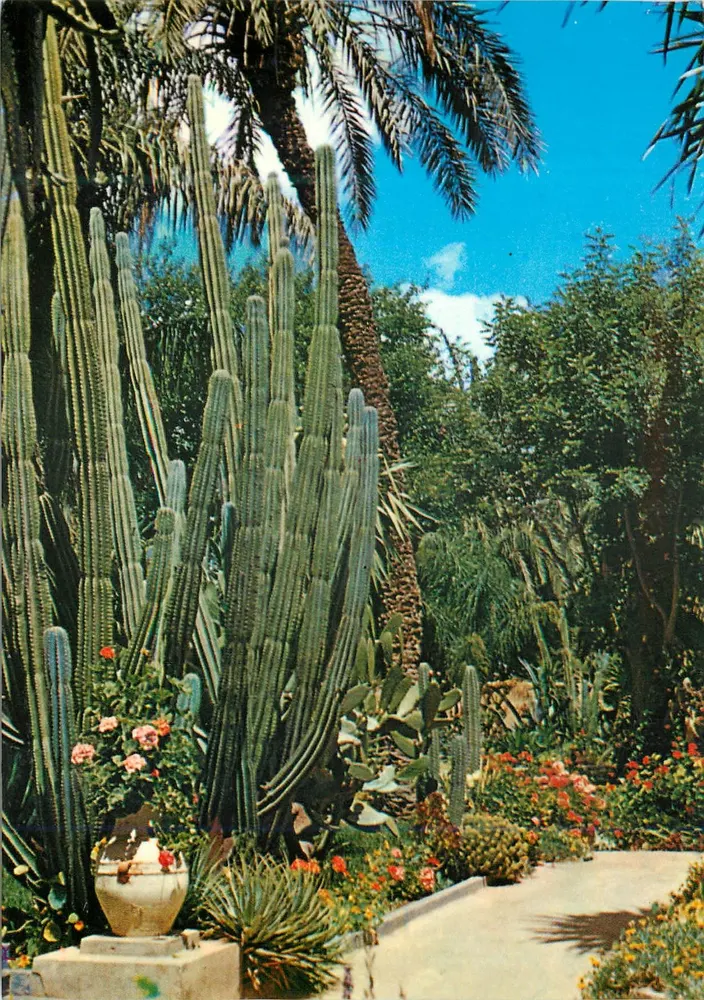 Exotischer Garten des Malers Majorelle — Marrakech — Verlag DPHKO - Vorderseite