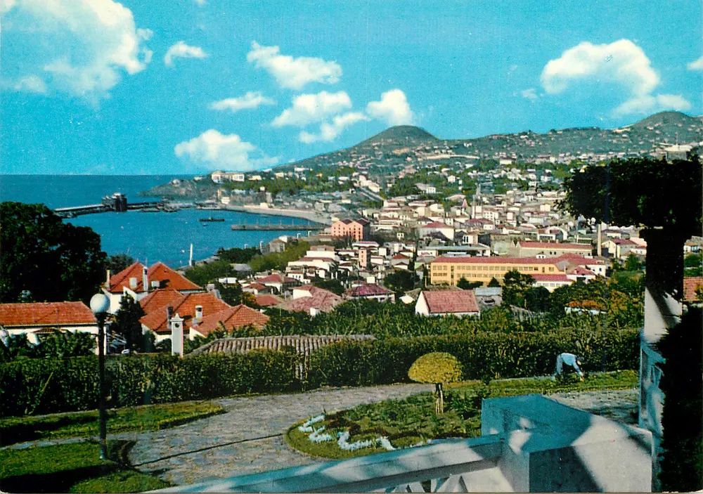 Funchal (Madeira) — Vista Oeste — editor Francisco Ribeiro, série MD 2 - Frente