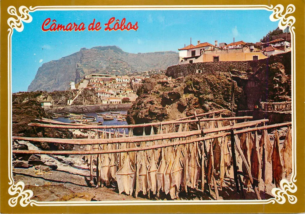 Câmara de Lobos — Secagem de peixes — Editor COMER, n° 2077 - Frente