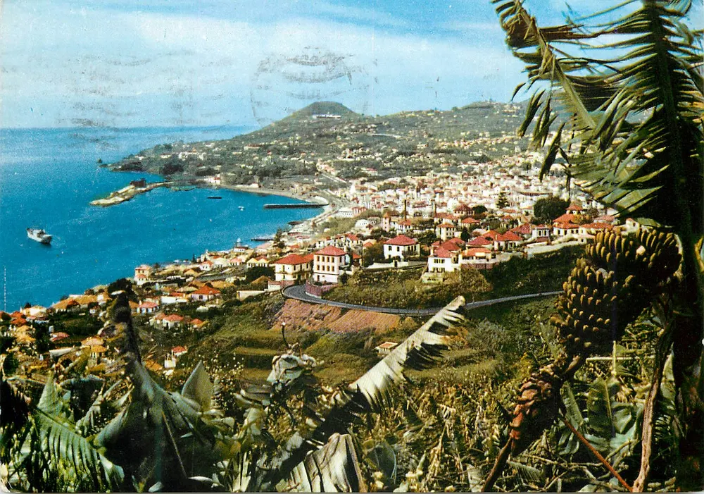 Funchal — Vista Ocidental — Éditeur Milan Ser, MD 28 - Frente