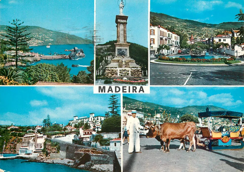Madeira — vista panorâmica — editor MD 69 - Frente