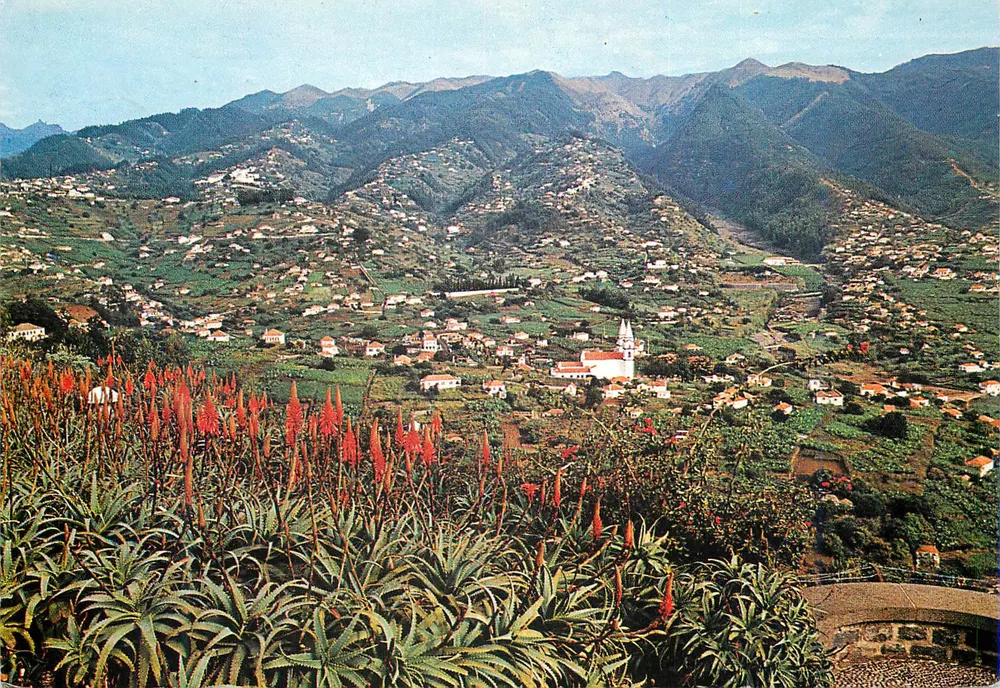 Pico dos Barcelos — Panoramablick — Centre du Carteiro 'Nossa Senhora do Pico' (n° 186) - Vorderseite