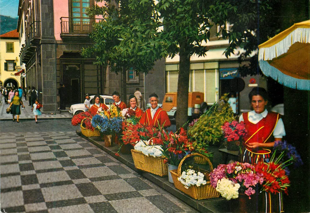 Madeira, Funchal — Vendedoras de flores — editor Kultura, n° MD 91 - Frente