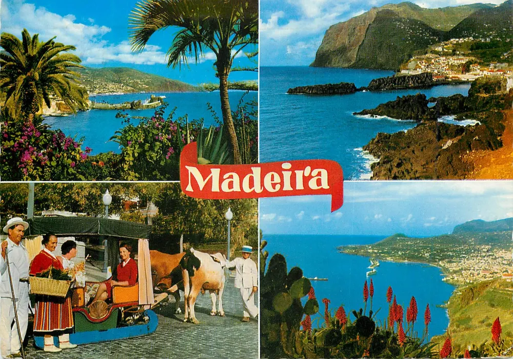 Madeira — Vista panorâmica e carruagem de jumentos — editor MD 25 - Frente