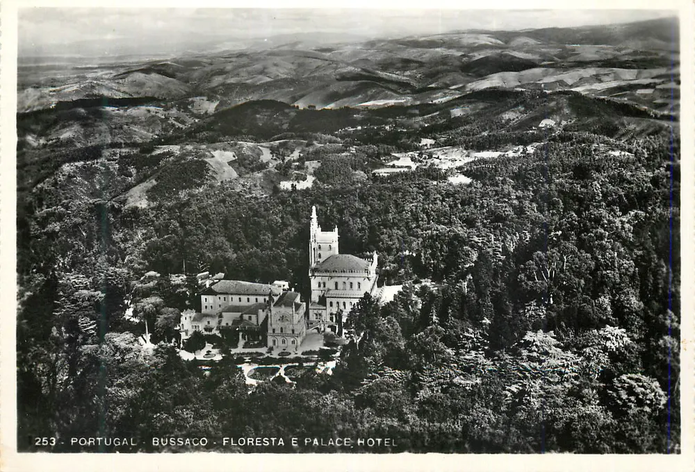 Bussaco — Floresta e Palace Hotel — Ed. Alexandre D'Almeida, n° 253 - Frente