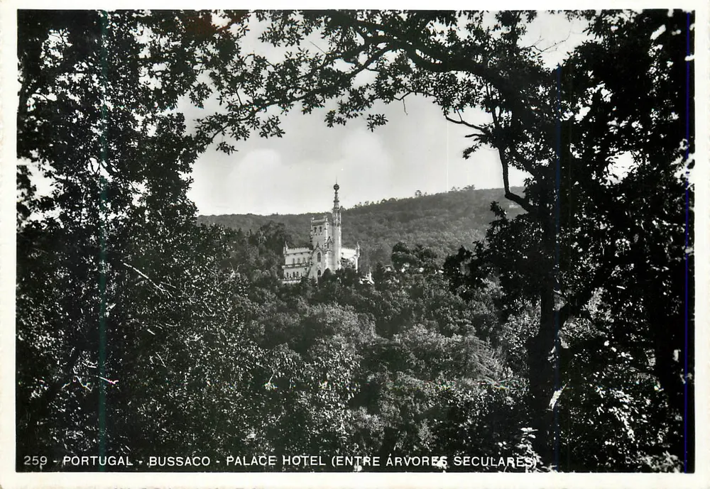 Bussaco - Palácio Hotel (zwischen alten Bäumen) — Verlag Alexandre D'Almeida, n° 259 - Vorderseite
