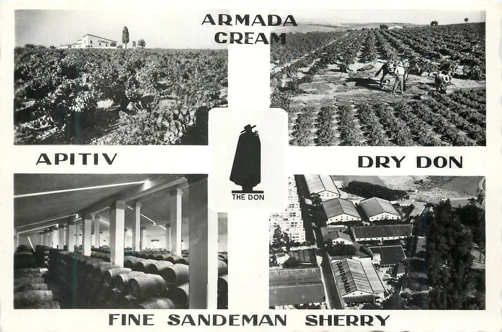 Vinhedos e adega de Sandeman — Jerez de la Frontera — editor Sandeman Vineyards & Bodegas - Frente