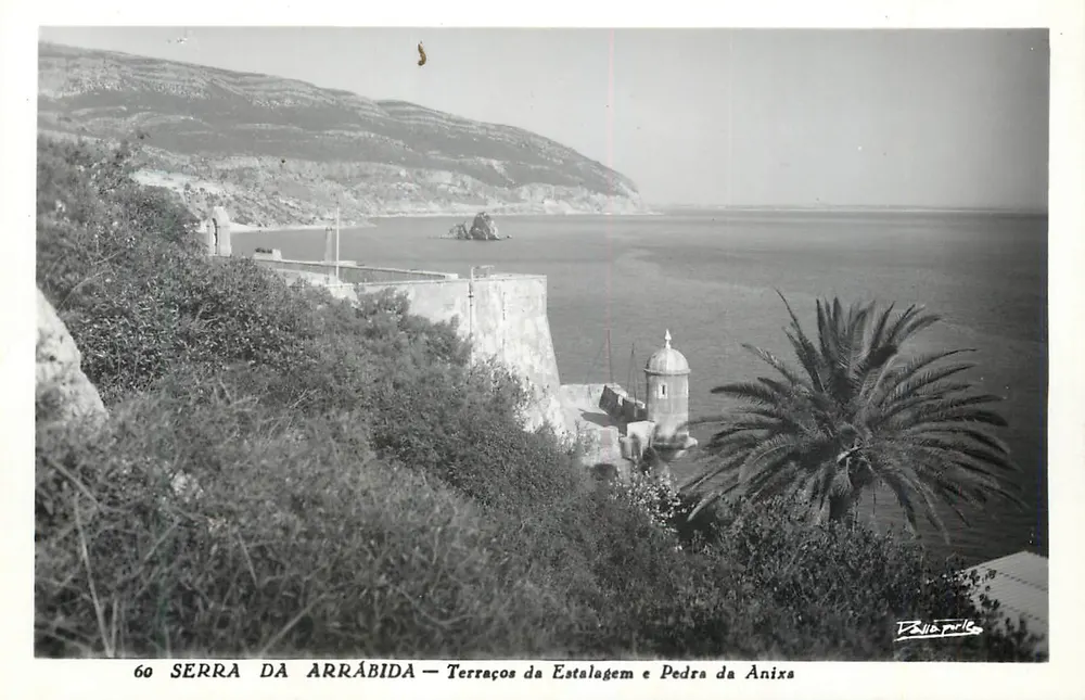 Serra da Arrábida — Terras da Estalagem e Pedra da Anixa — D. Silva Pinto - Recto