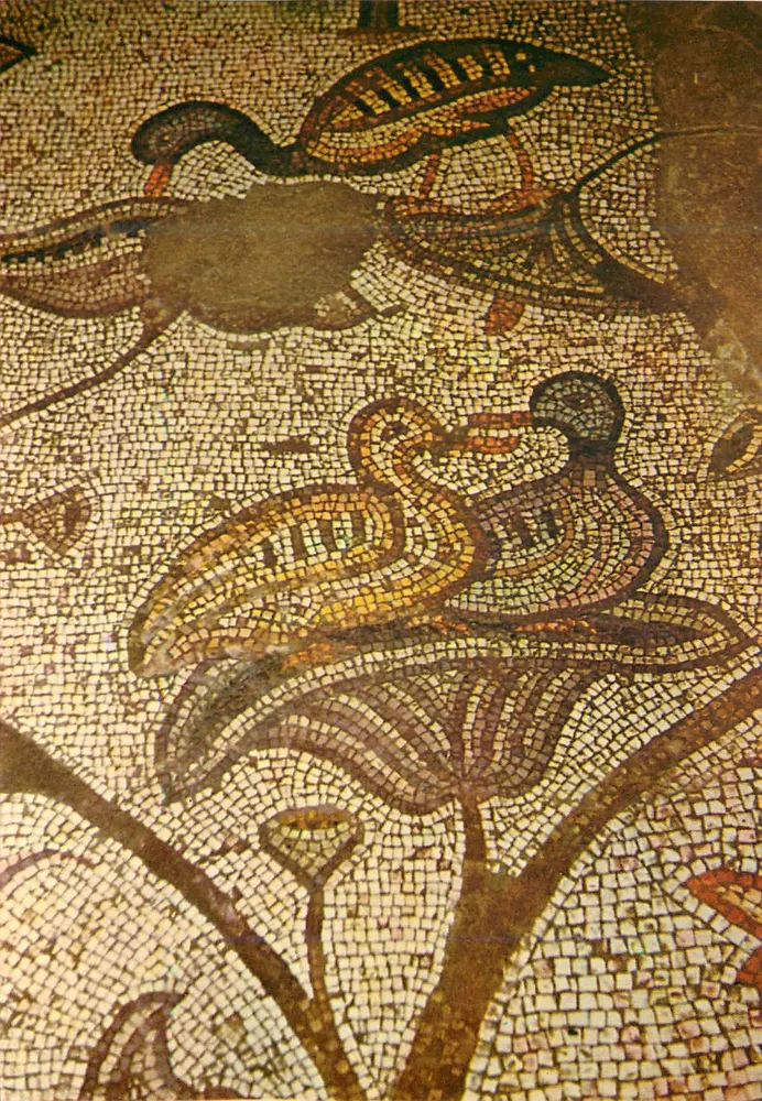 Tabgha, Igreja da Multiplicação dos Peixes — Parte da mosaico bizantino — editor PALPHOT, n° 6628 - Frente