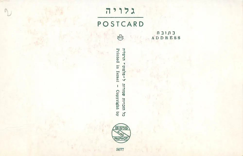 Tiberias, das See von Galiläa — Ansicht mit Palmen — Verlag Palphot, Nr. 5077 - Rückseite