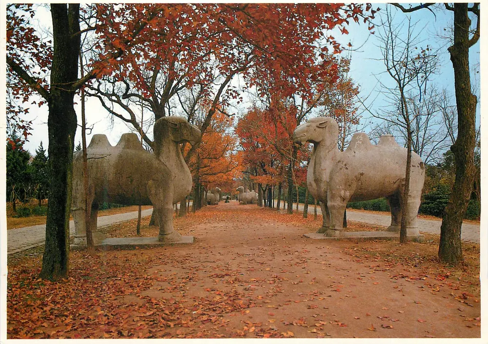 मृत्यु के रास्ते पर कैमेलिड के प्रतिमाएं — शियाओलिंग के शवस्थल, मिंग राजवंश के पहले सम्राट — प्रकाशक ज़हाओहुआ पब्लिशिंग हाउस, श्रृंखला 87CE-359 - आगे