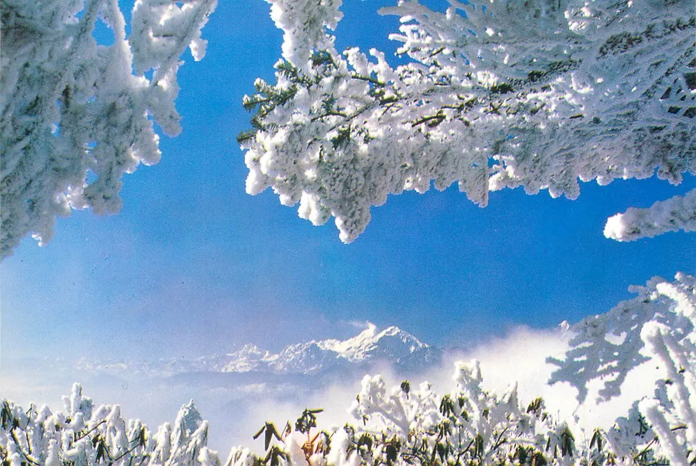 Escena nevada del Monte Erlang — Árboles nevados que marcan cumbres lejanas — República Popular China, YP7 (10-10) 1989 (B) - Anverso