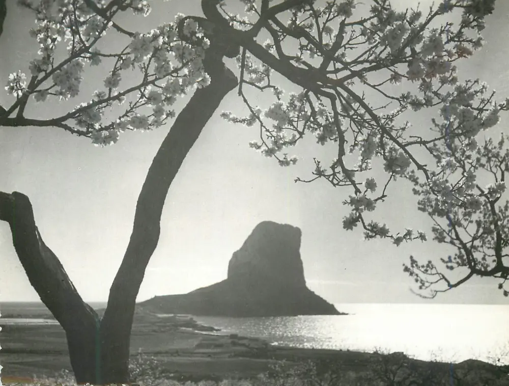 Almendros in Blüte und Peñón de Ifach — Alicante — Foto Sánchez N° 223 - Vorderseite