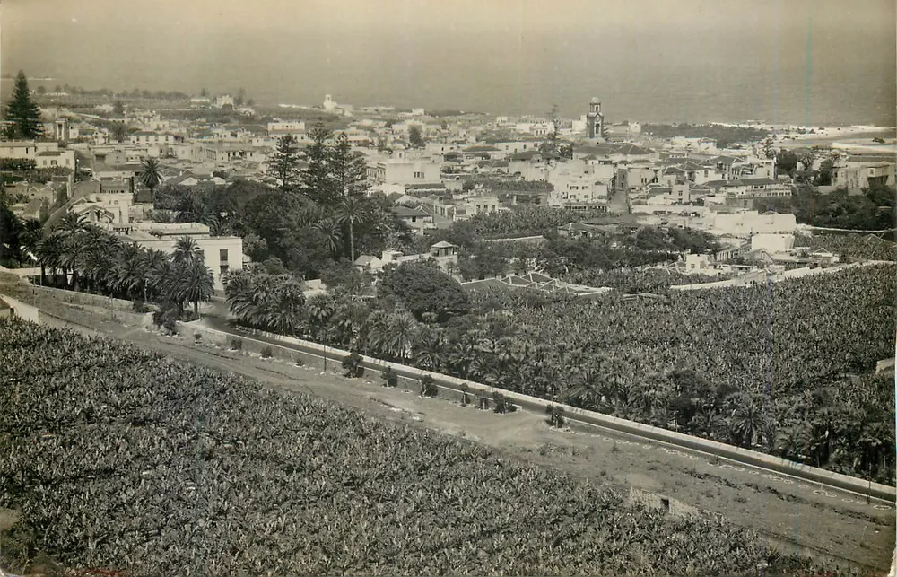 Puerto de la Cruz (Tenerife) — vista parziale — Edizioni Arribas - Zaragoza, n° 1009 - Recto