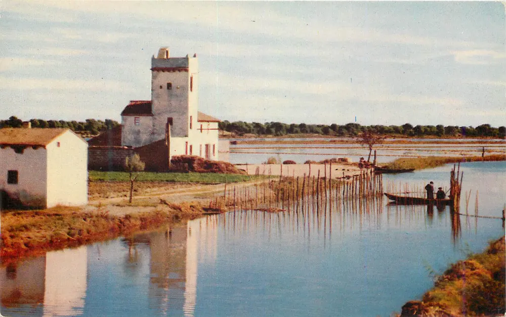 La Albufera — szczegół — Fotocolor Gráfica Manen, Barcelone - Awers