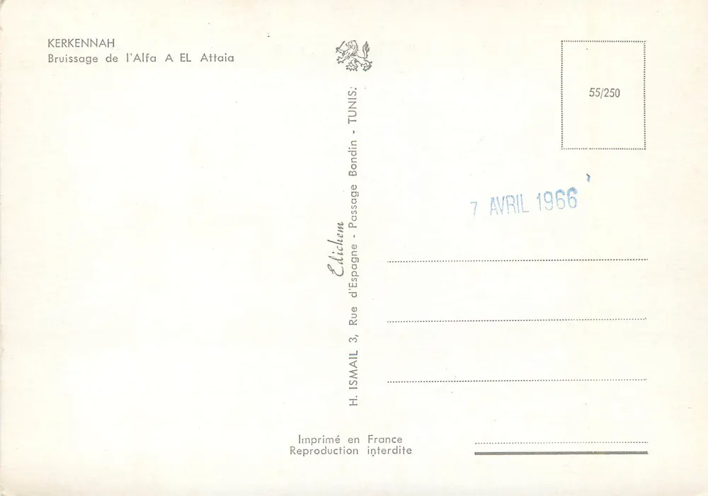 Kerkennah — Bruissage de l'Alfa à El Attia — Édition Ismail - Verso