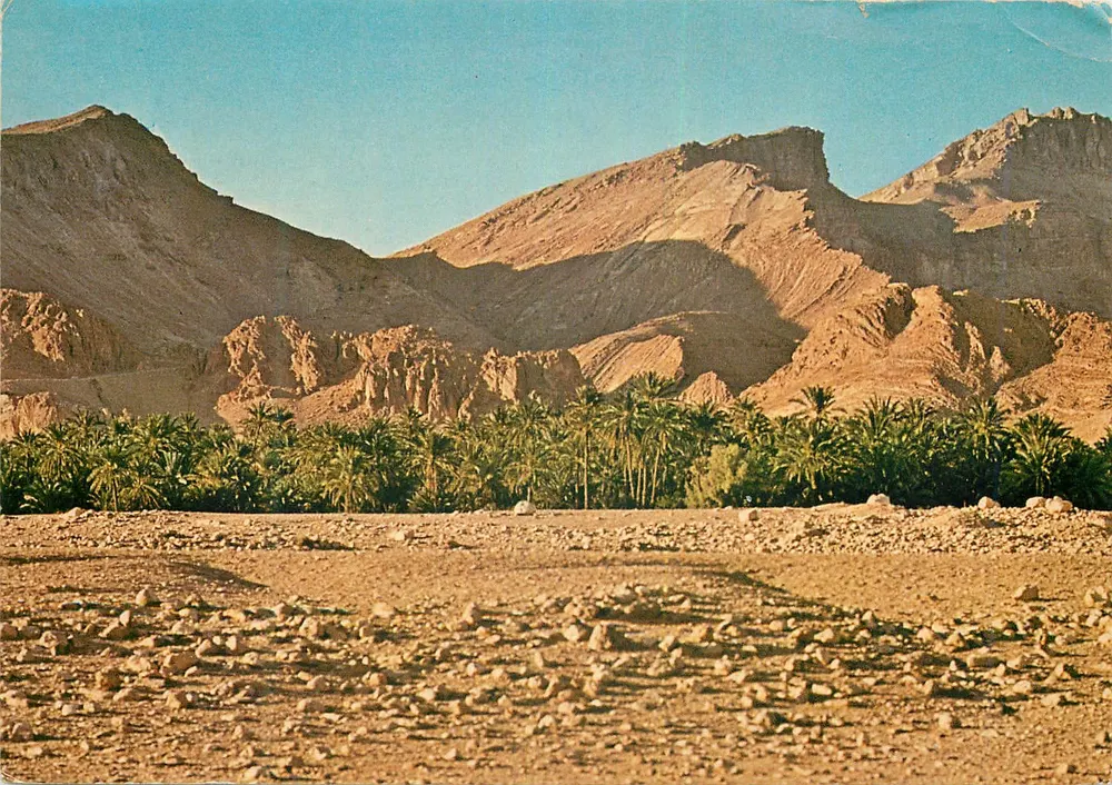 दक्षिण के दृश्य — तुनीशिया — कहाइया एडिशन्स - आगे