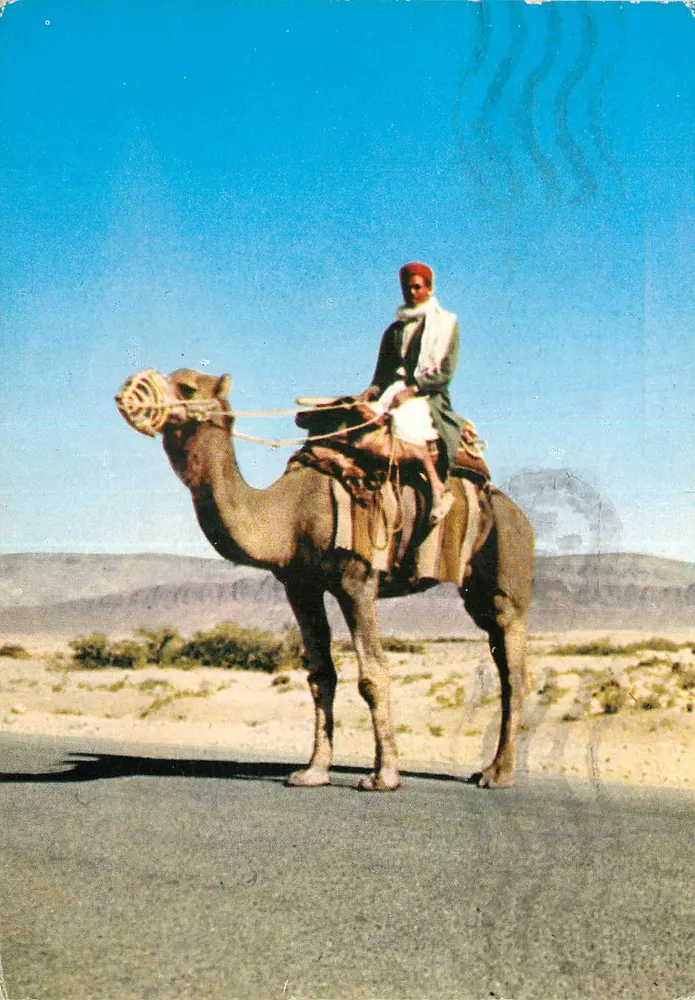 Sureste de Túnez — Un caravanserero paseando — ÉdicheM, n°4 - Anverso