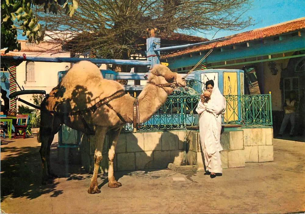 तुनीशिया -- ला मार्सा : कैफे « सैफ-सैफ » — छापकर्ता अब्देल गमल, संख्या HO 68 - आगे
