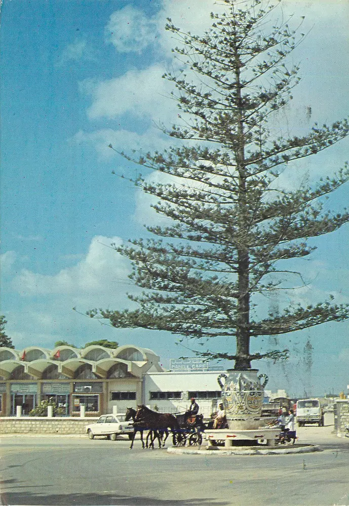 Nabeul - Die Station und ihre « Pflanze in der Vase » — Éditions Tanit, n°392 - Vorderseite
