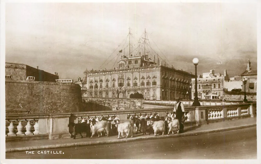 Le Castille — Vista della strada con un pastore e pecore — The Ritz Photo Studio, Siema - Recto
