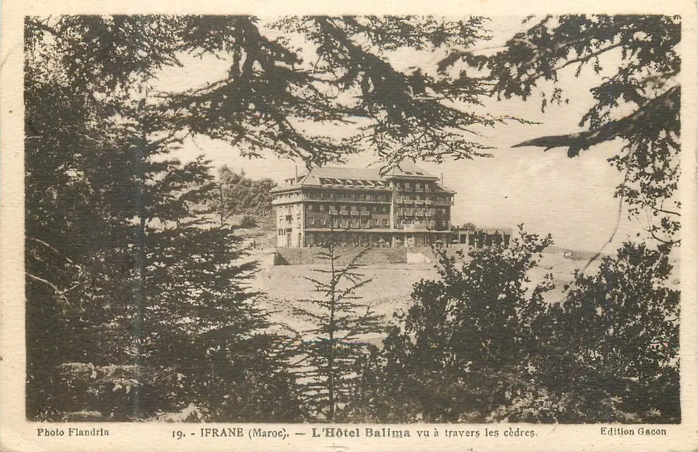 Ifraane (Marokko) — Das Hotel Balima gesehen durch die Zedern — Foto Flandrin, Edition Gacon, n°19 - Vorderseite