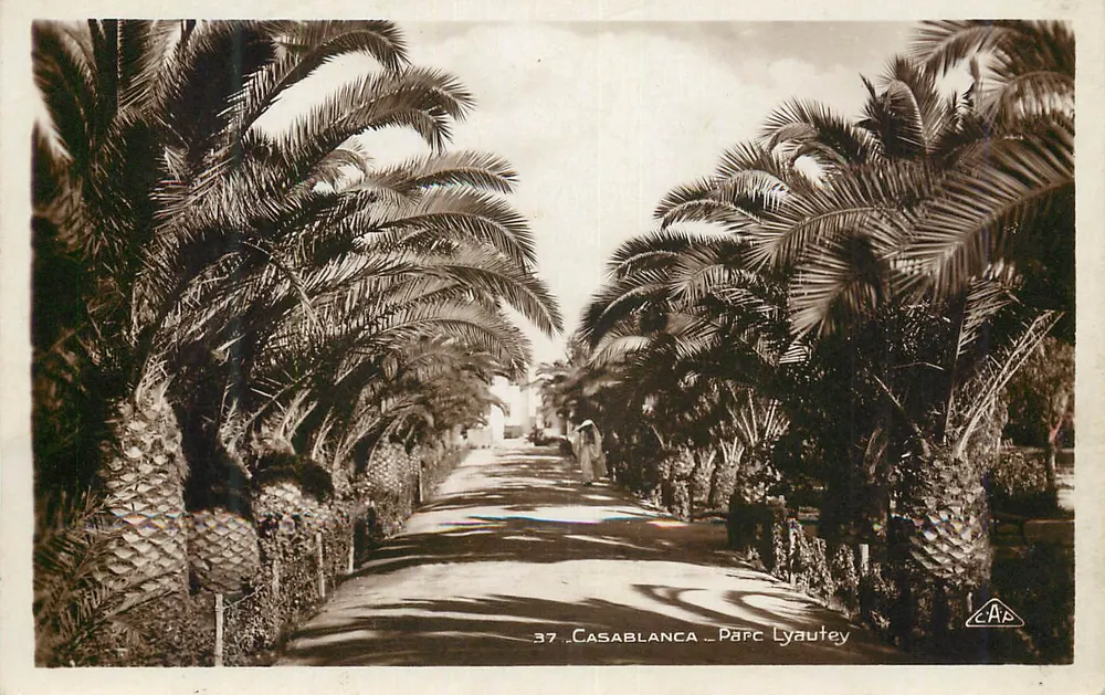 Casablanca - Parque Lyautey — editor C.A.P. n°37 - Frente
