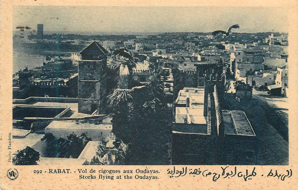 Rabat — Voo de corujas nos Oudayas — Foto Flandrin, n°292 - Frente