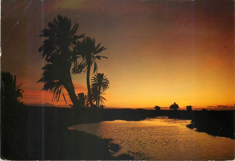 Pôr do sol na oásis - Marrocos - Éditions COULEURS NATURELLES, n° 774 - Frente