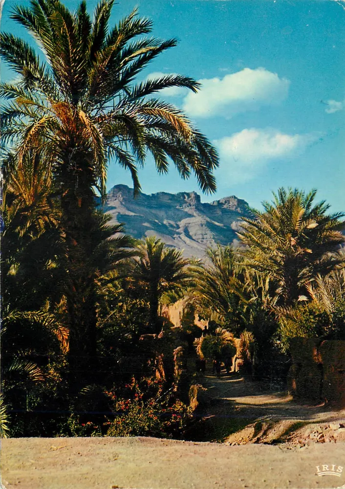 Tal des DRAA — ein Stück der Palmenplantage — Editions "La Gigogne" - Vorderseite