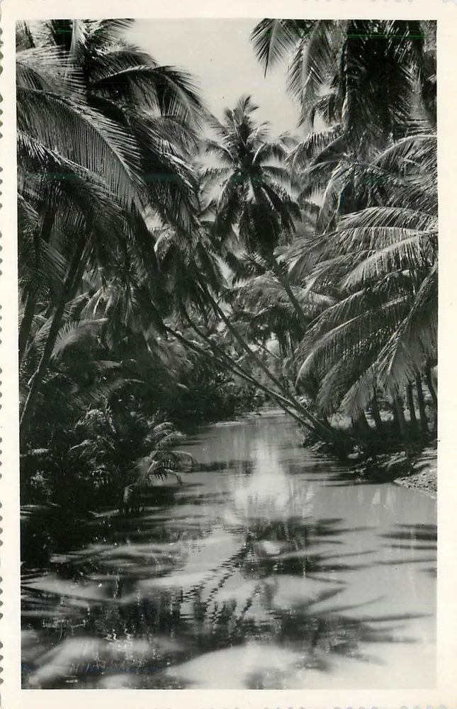 Tropisch kanaal omringd door palmboom — Papier Lumière, n° 1 - Voorkant