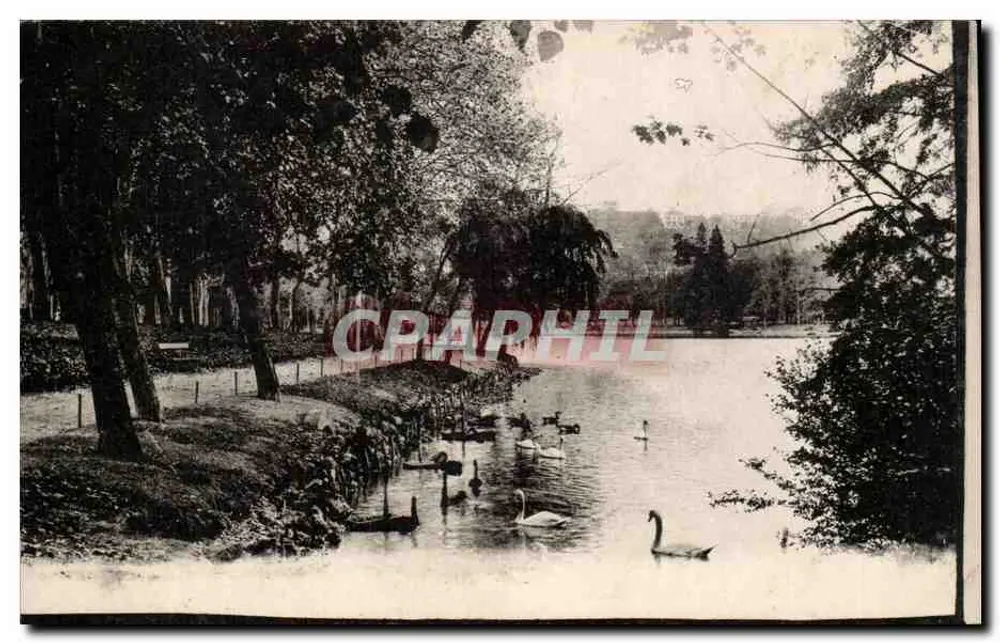 Lago com cisnes — parque arborizado — carta postal anônima - Frente