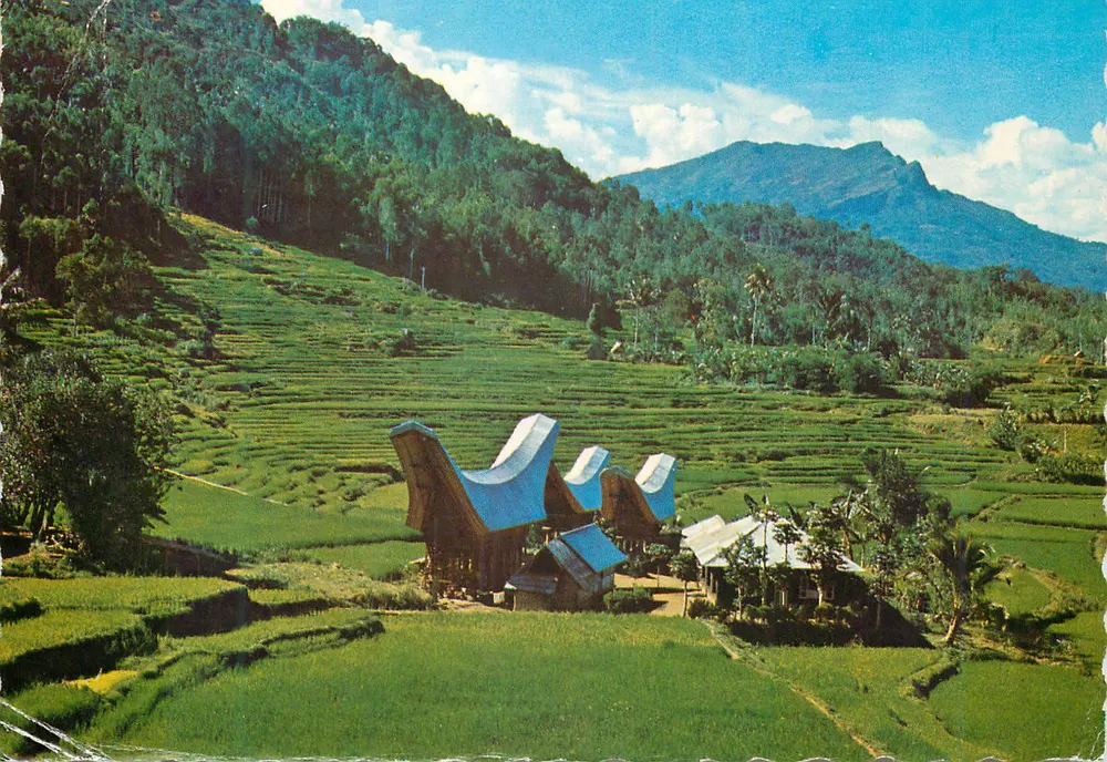 Tana Toraja, Sulawesi Selatan — panorama avec maisons à toits en forme de bec d'oiseau — éditeur PS-H 05 - Voorkant