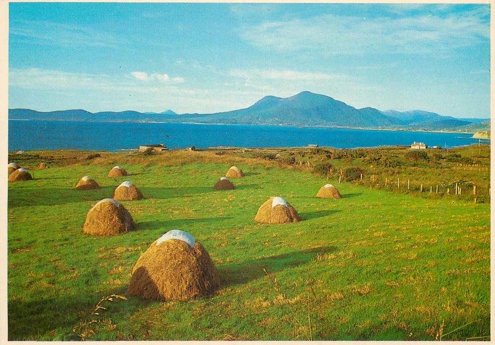 Haycocks — Irlanda — John Hinde Ltd. - Frente