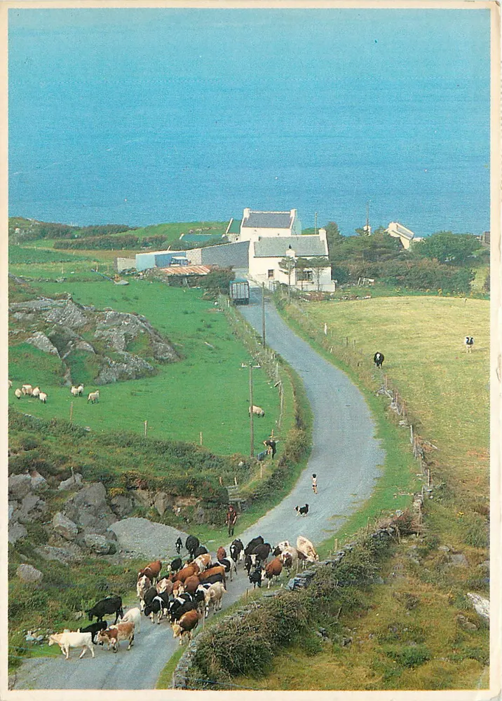 Koeien en schapen op een kustweg — West Cork — Ireland People & Places, serie 88 - Voorkant