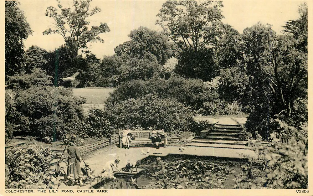 Colchester, The Lily Pond, Castle Park — V2306 — Photochrom Co. Ltd., Tunbridge Wells, Kent - Recto