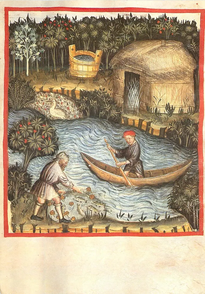 Fishing — Taccinum sanitatis, Lombardy — 15th century — unknown publisher, series no. 2644, fol. 82 r. - Front