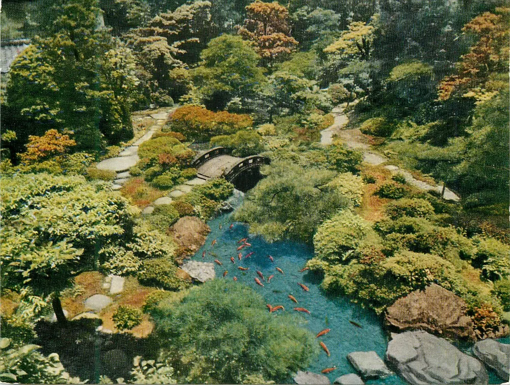 Jardim japonês em Kyoto — Arashiyama — editor não visível - Frente