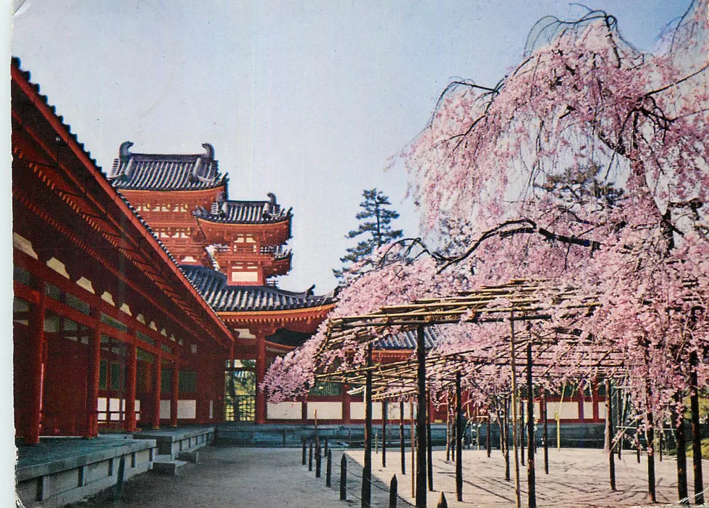 Shrine Heian — Jardim de cerejeiras em flor — editor não visível - Frente