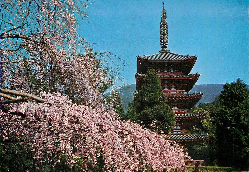 Pagode de Daigoji em Kyoto — cerejeiras em flor — editor desconhecido, n° P.C.46 - Frente