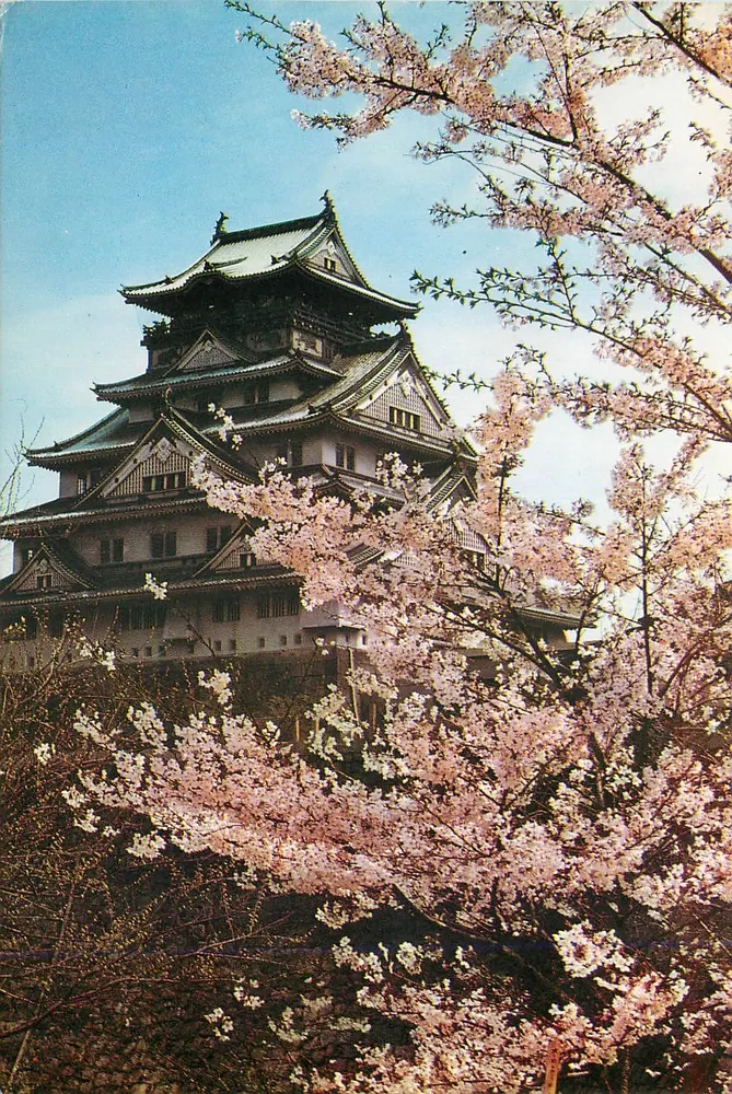 Osaka Schloss — blühende Kirschbäume — Nippon - Vorderseite