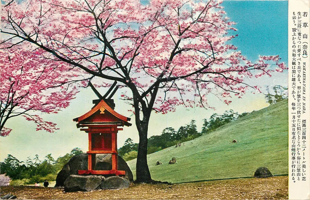 Monte Wakakusa (Nara) — Montanha de Wakakusa — editor desconhecido, número de série não visível - Frente