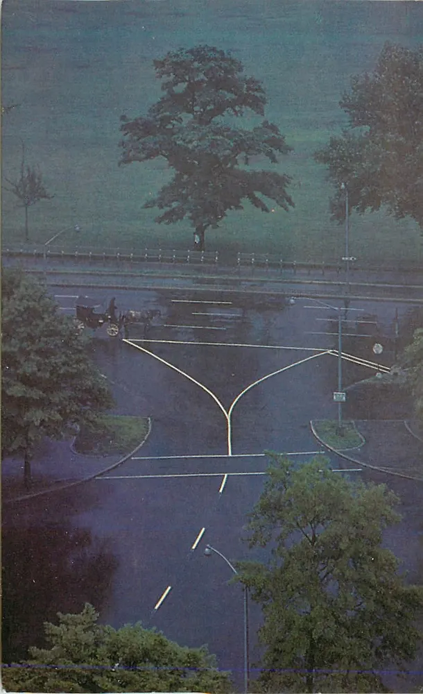 Vista do Central Park — 'My Tree' — Ruth Orkin, série Contemporary Park Views - Frente