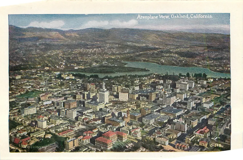 Sequoia Park, Oakland, Kalifornien — Waldblick — Verlag O-181 - Rückseite